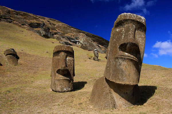 Statue Moai Rano Raraku