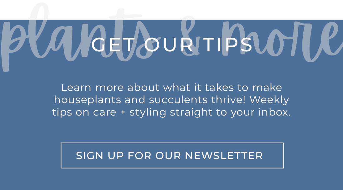 sign up for our newsletter by clicking here