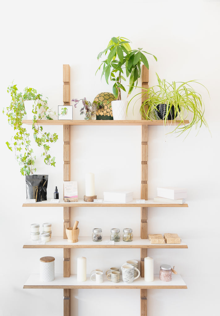 Plant Decor Shop - House plants, succulents, and more