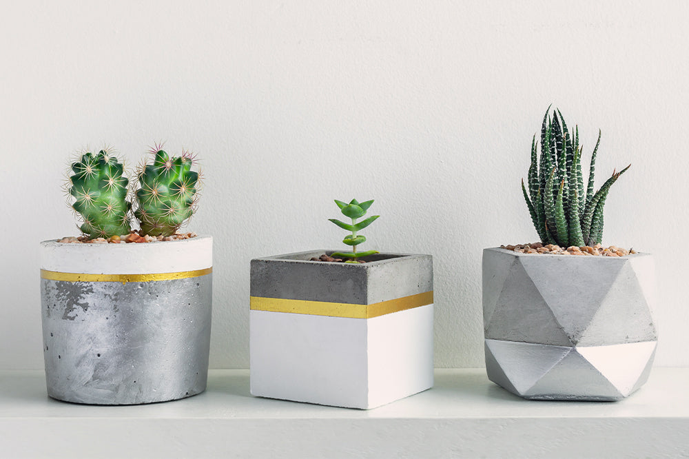 gray and yellow concrete planters