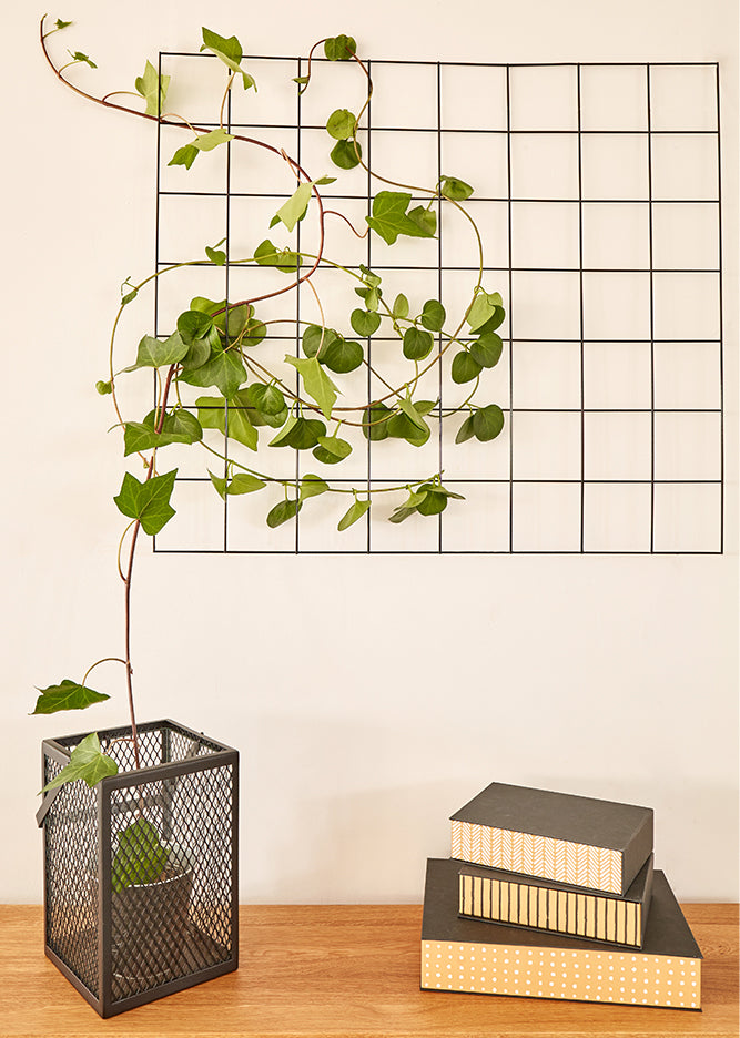 living art project ideas trailing plant trellis
