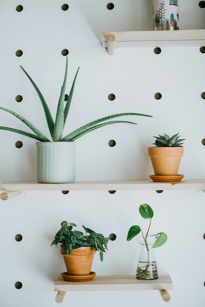 peg board shelving