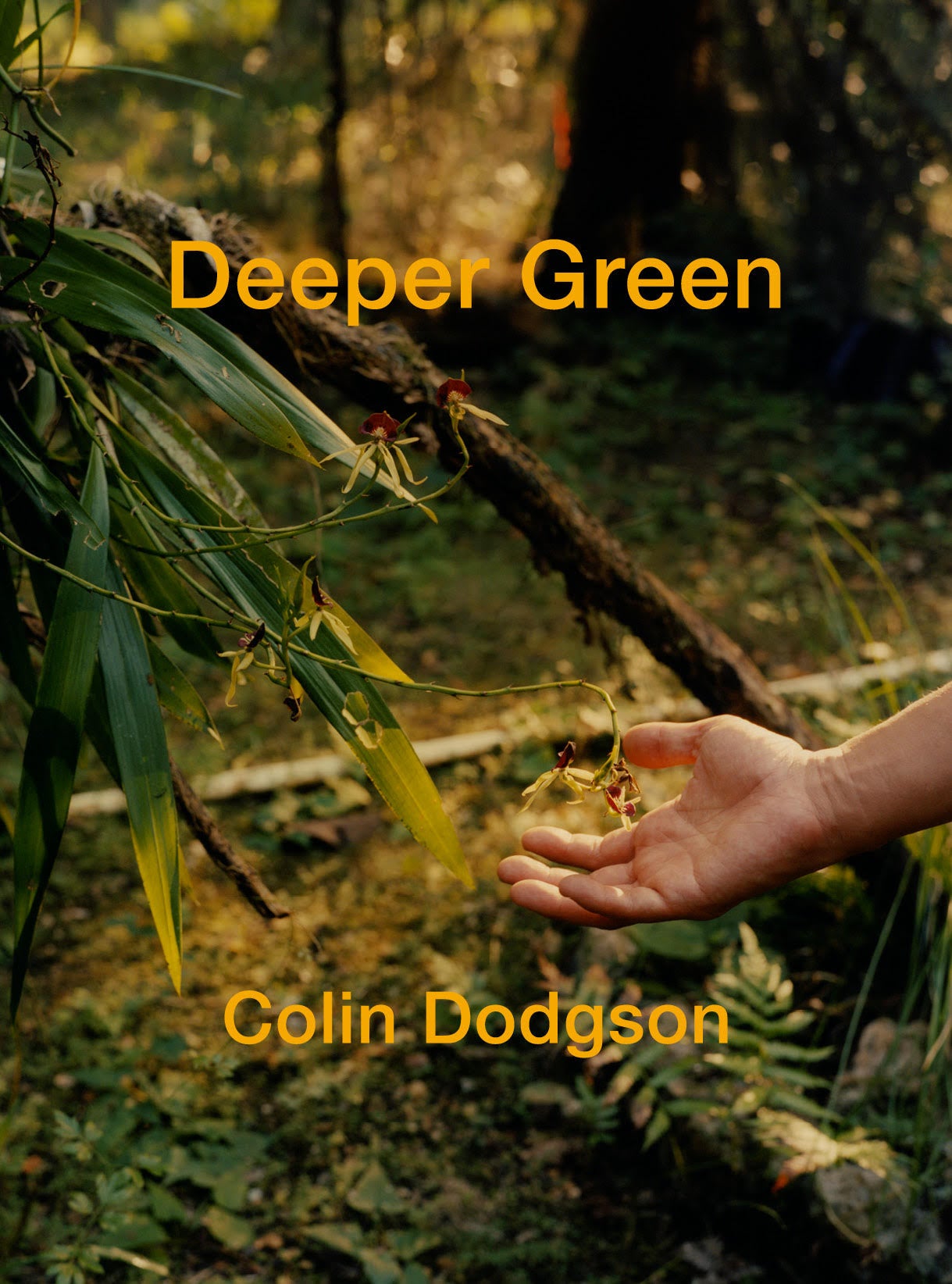 Deeper Green Colin Dodgson