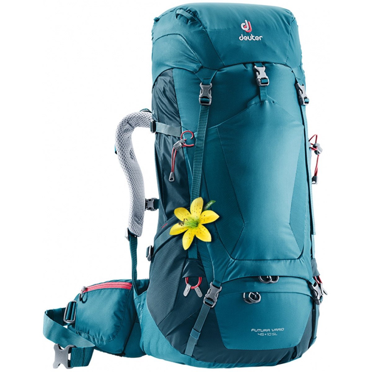 deuter kikki sale