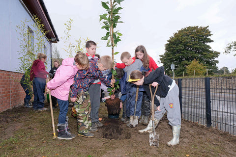 established titles charity day at mid calder primary school