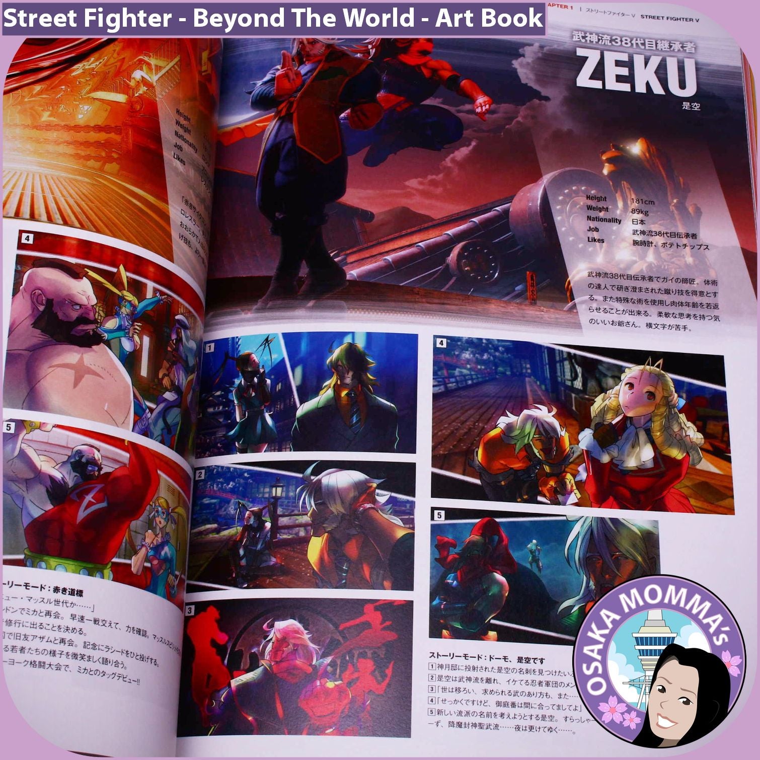 Street Fighter Beyond The World Art Book Osaka Momma S Japanese Goods