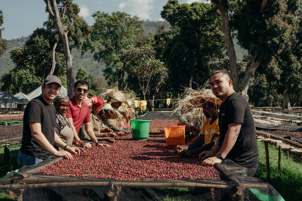 Archers Coffee Team at Daye Bensa Farm at Ethiopia