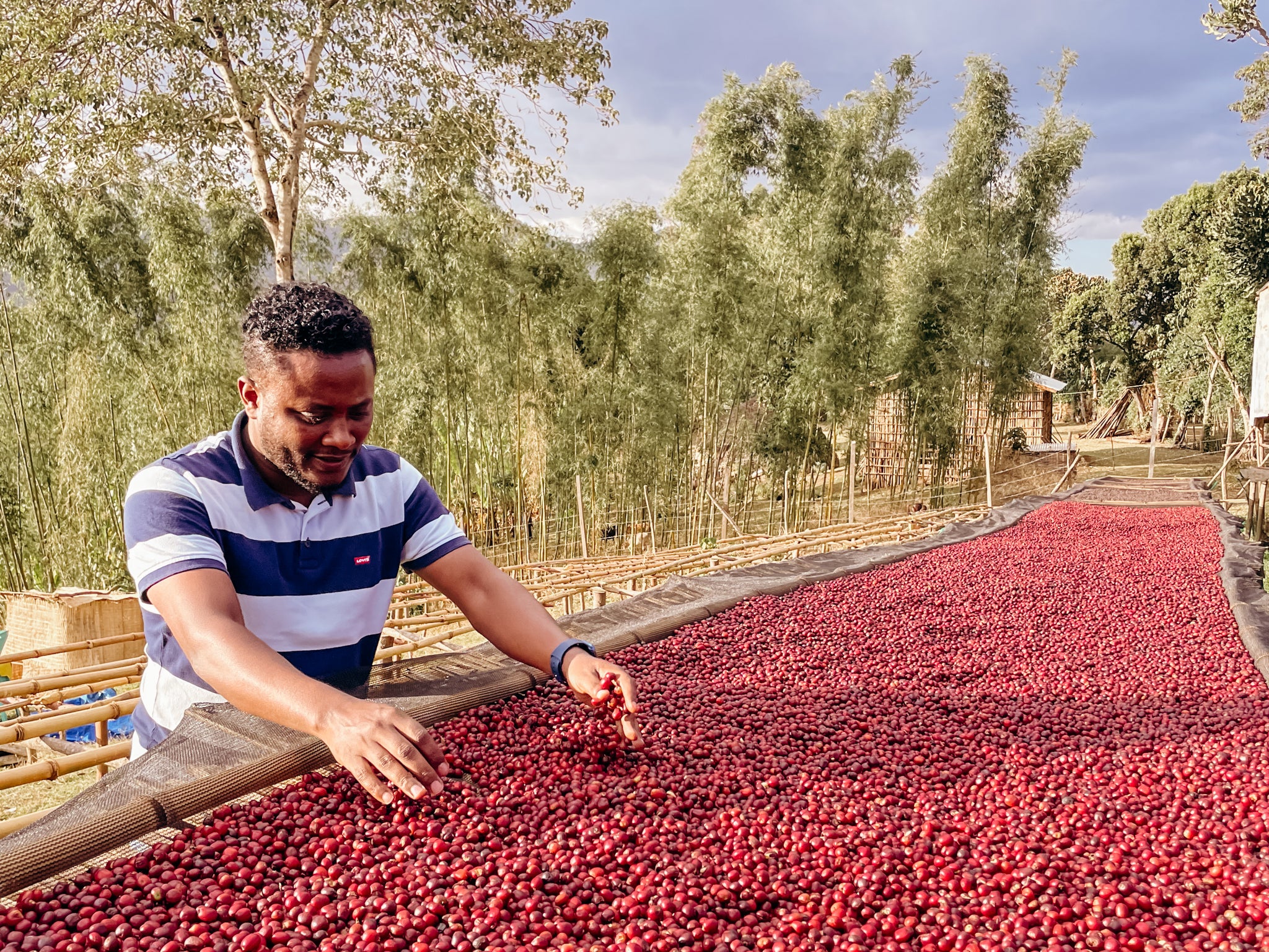 Alo Coffee featuring Tamiru Tadesse