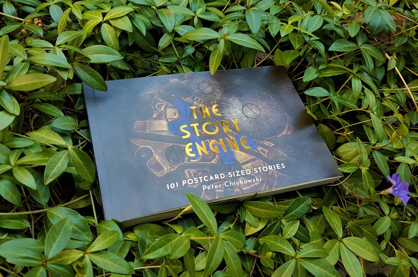 A copy of The Story Engine Anthology sitting in a patch of greenery.