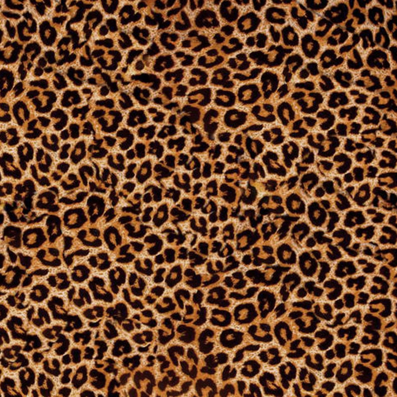 cheetah print back window decal