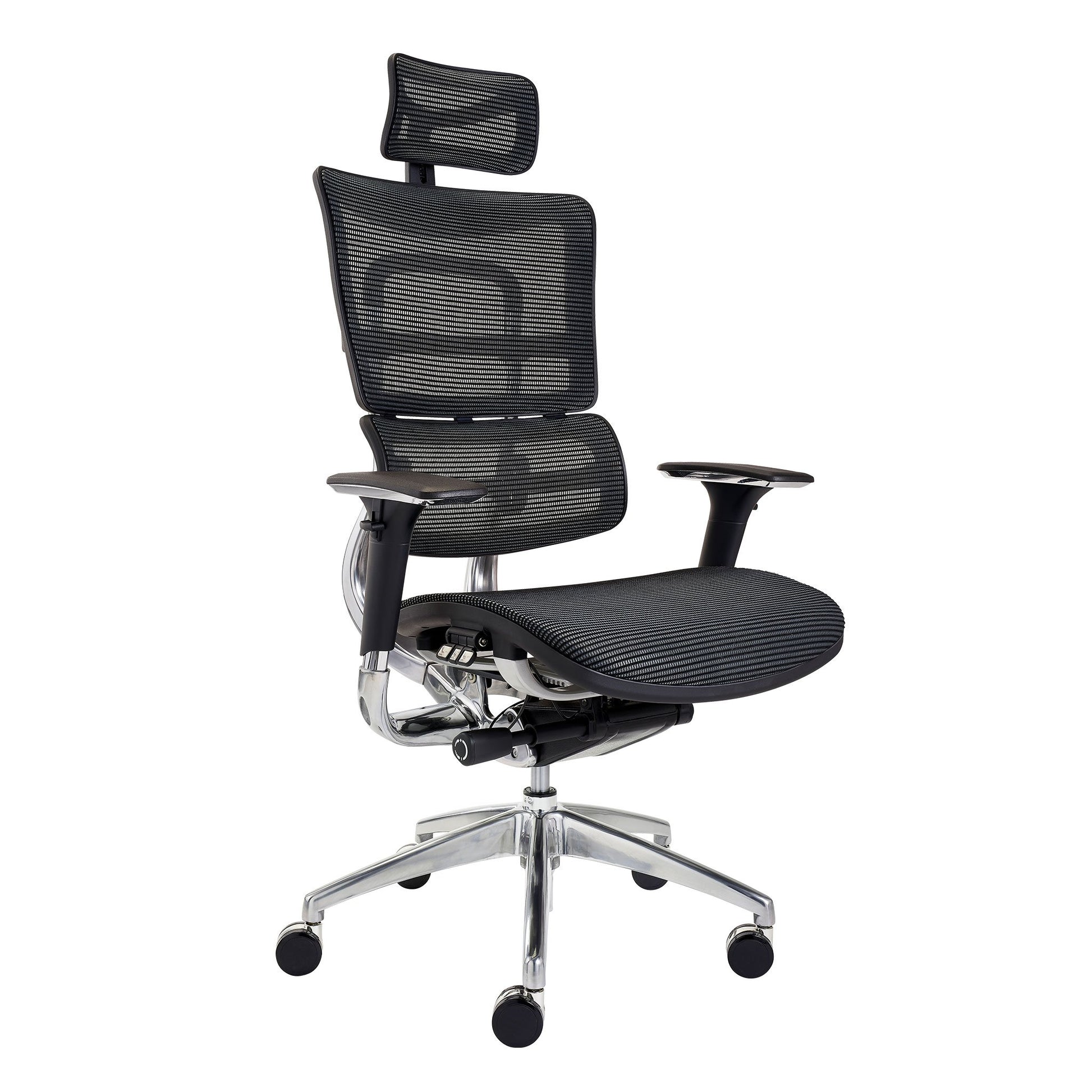 Sculpture Ergonomic Executive Office Mesh Chair | ER10 BLACK – Century  Office