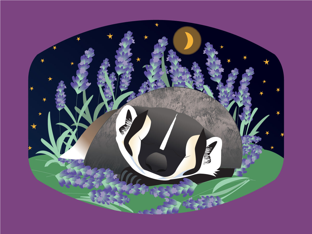 sleeping badger art