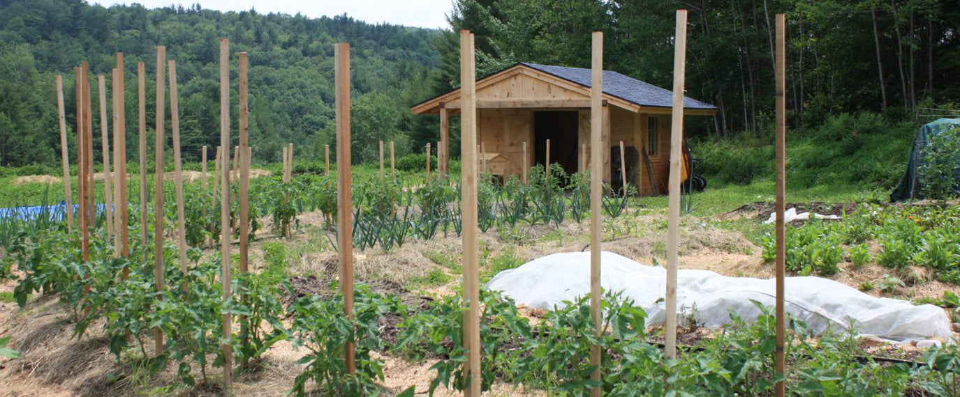 zinc oxide composting badger garden