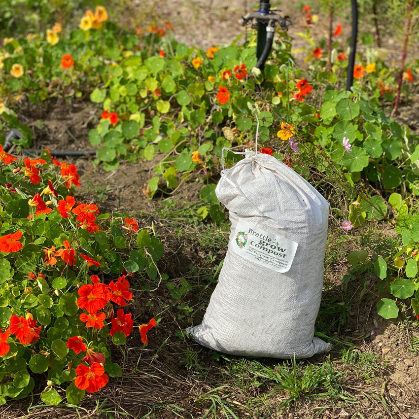 zinc oxide sunscreen composting