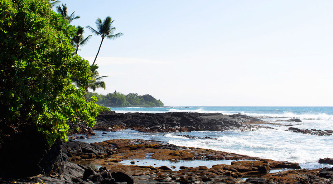 Kahalu'u Bay Hawaii