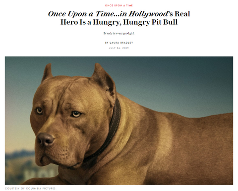 Once Upon a Time in Hollywood pitbull, Delaware Red Pitbulls, Vanity Fair