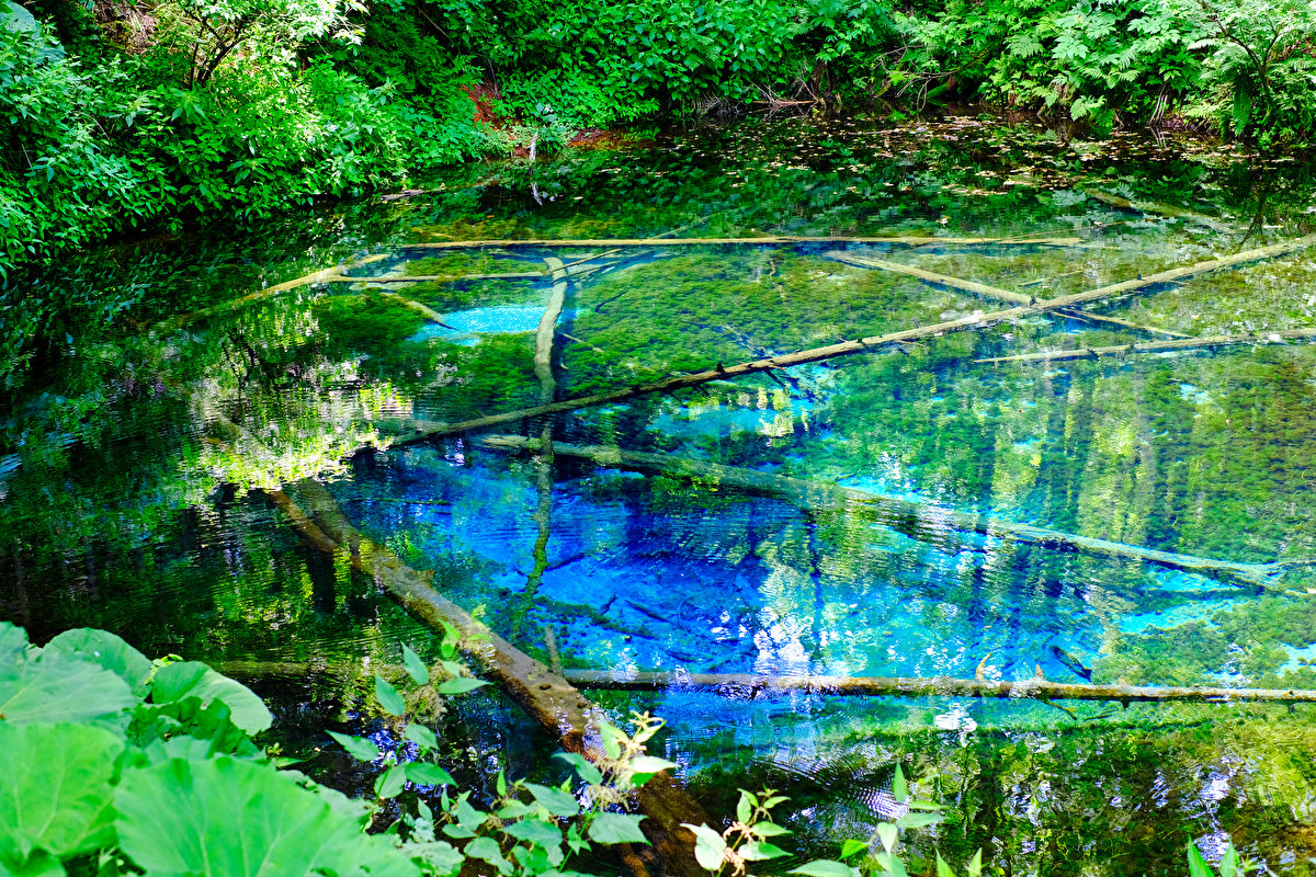 ひがし北海道の絶景11選 一生に一度行きたい神秘の大自然 ひがし北海道クレインズ