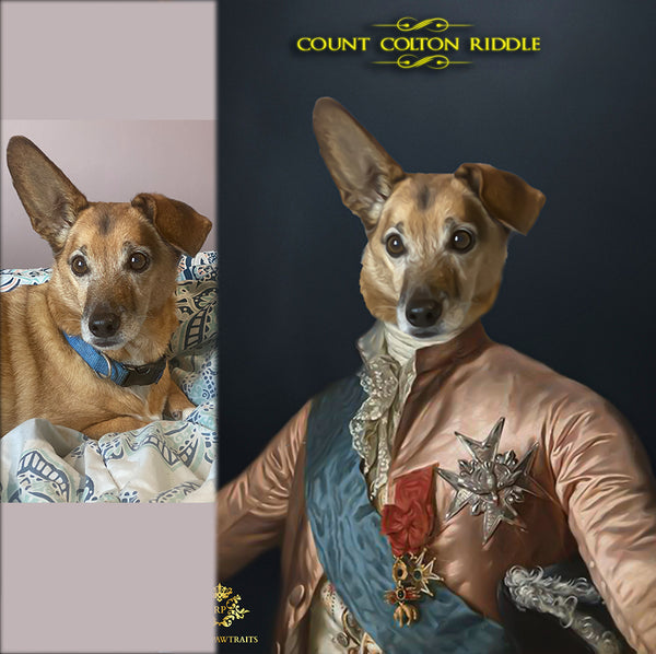 Custom Pet Portraits