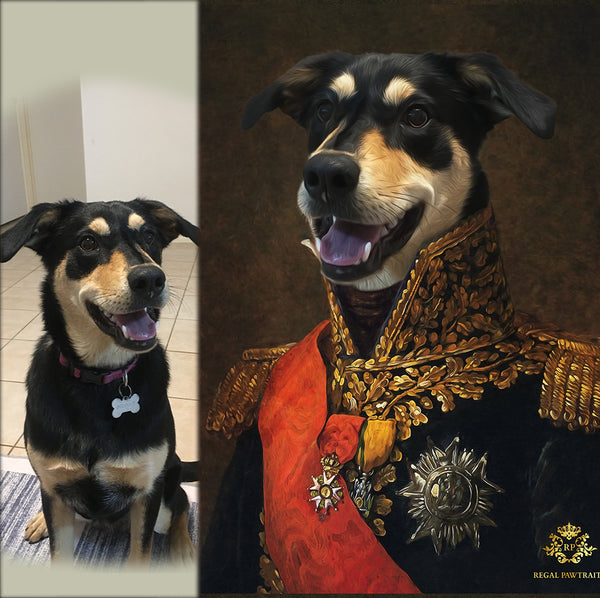 Custom Pet Portraits