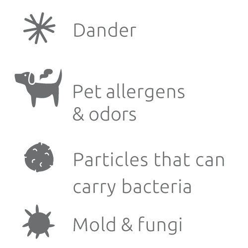 dander, pet allergens and odors, particles that can carry bacteria, mold & fungi