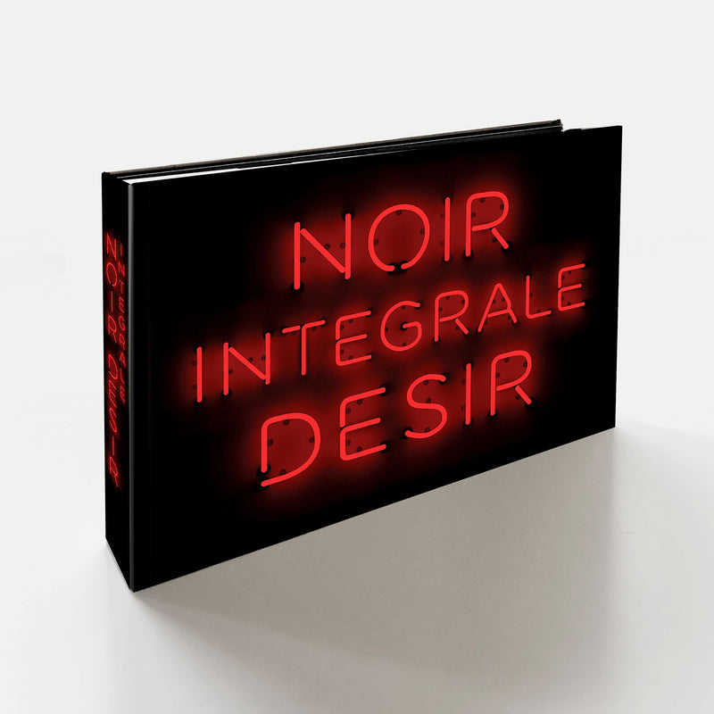 Noir Désir - Page 3 IntegraleNoirDesir3D_800x