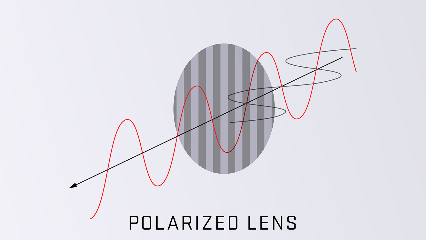 How To See Phone Screen With Polarized Sunglasses | KoalaEye Optical