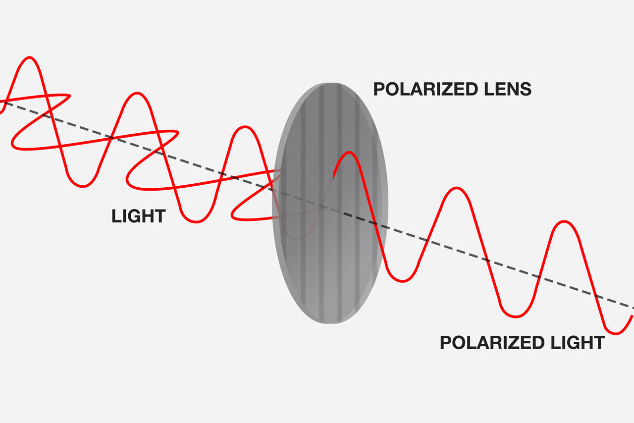 Infographic of how polarized light passes through a polarized lens