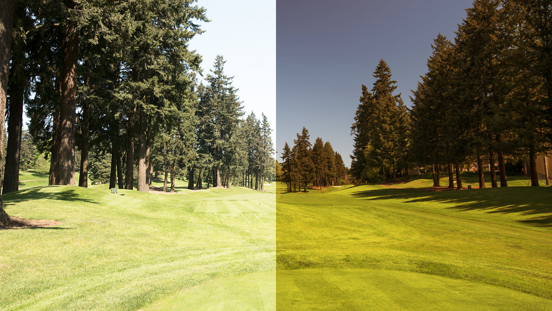 View of a golf course looking through Flare Gold lenses on the right versus no lenses on the left