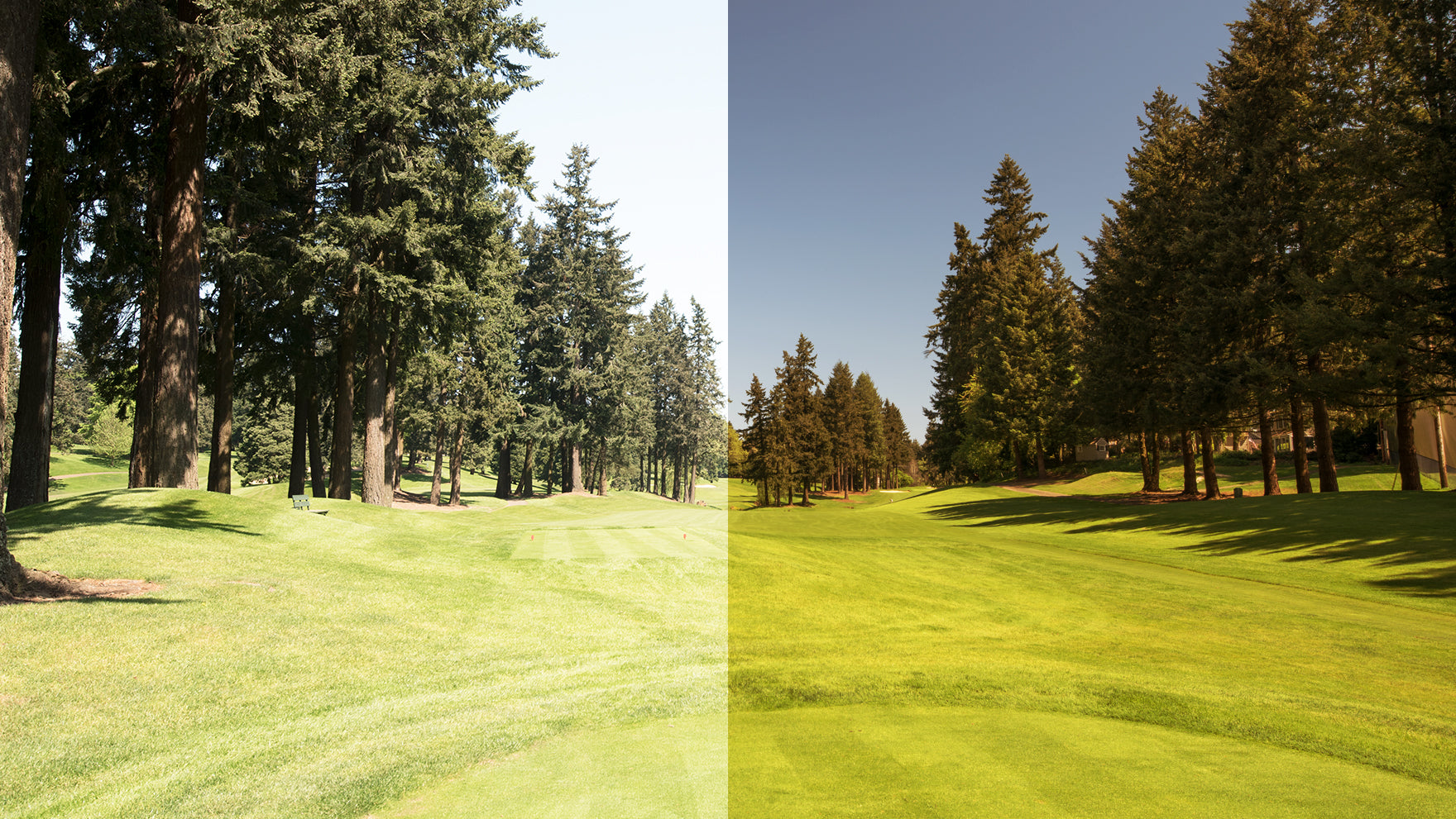 view looking at a golf course through the flash bronze lens on the left versus without a lens on the left