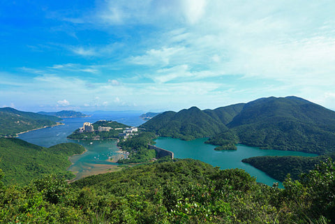 野豬徑_香港景點_動物名