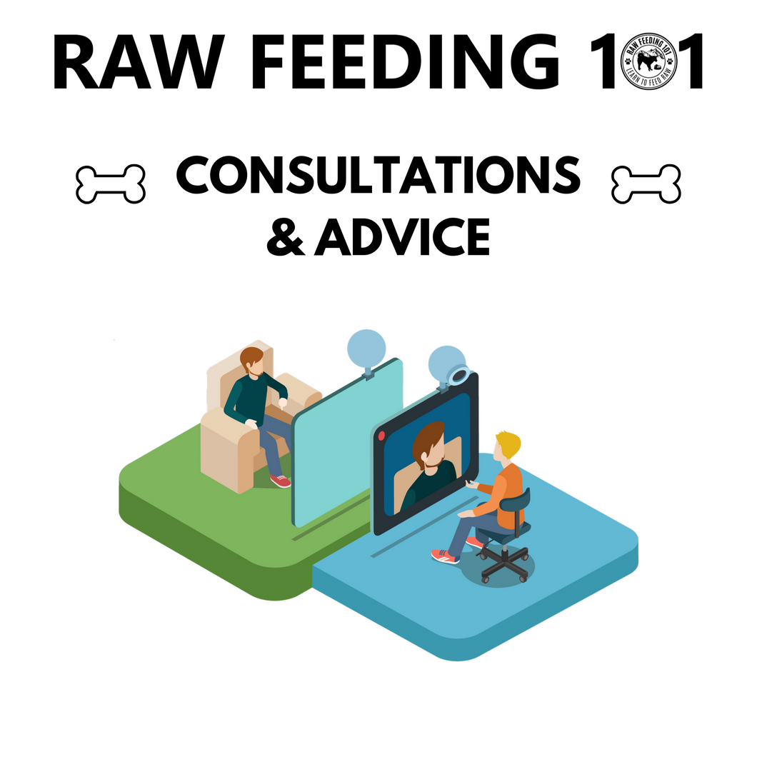 Raw Feeding 101 Raw Food Diets For Dogs