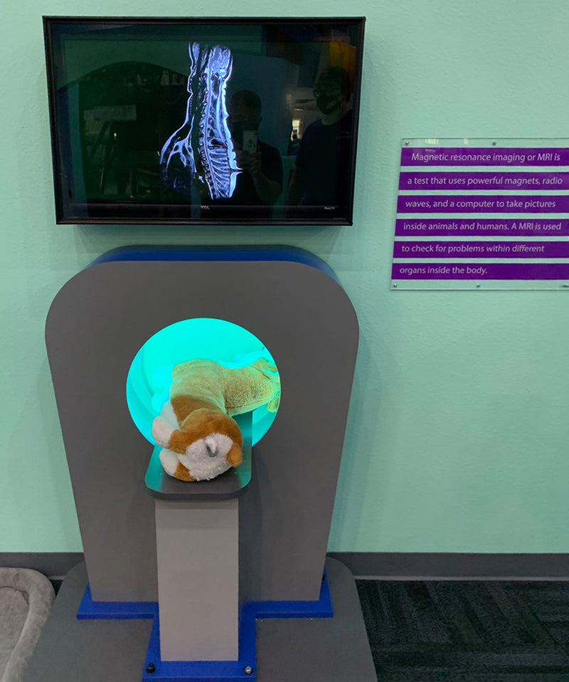 MRI Machine With RFID Tags In Each Stuffed Animal That Triggers AnX-RAY