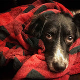  dog blankets-Cabin Comfort Plaid Blankets | Brunsly