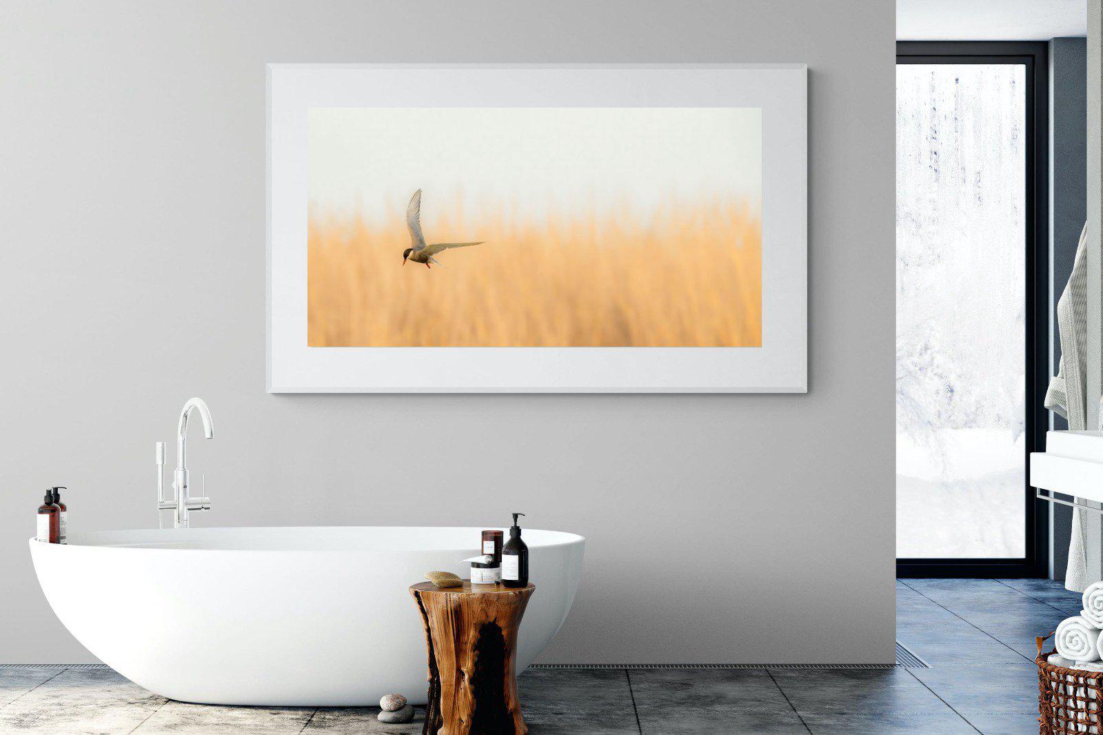 Focused-Wall_Art-180 x 110cm-Framed Print-White-Pixalot