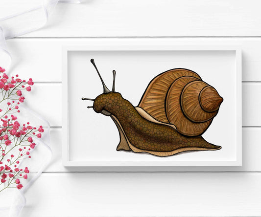 Snail Garden Original Watercolor & Ink Illustration