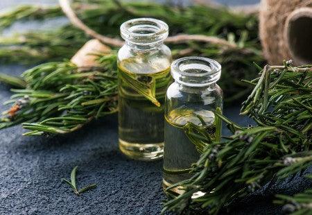 Rosemary and bottles of protection hoodoo oils. Learn a protection oil recipe here.