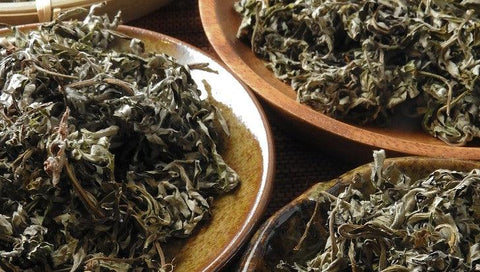 Bowls of Mugwort. Read about spiritual uses here.