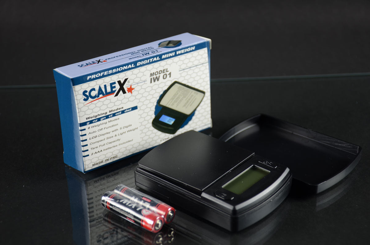 Scalex IW01 Mini Digital Scale 600 x 0.1g