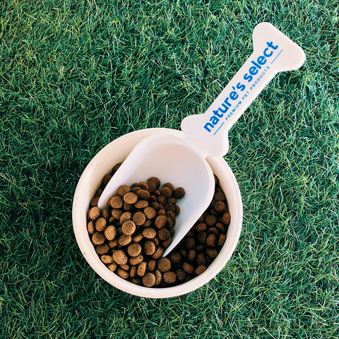 Nature's Select Pet Food Bowl