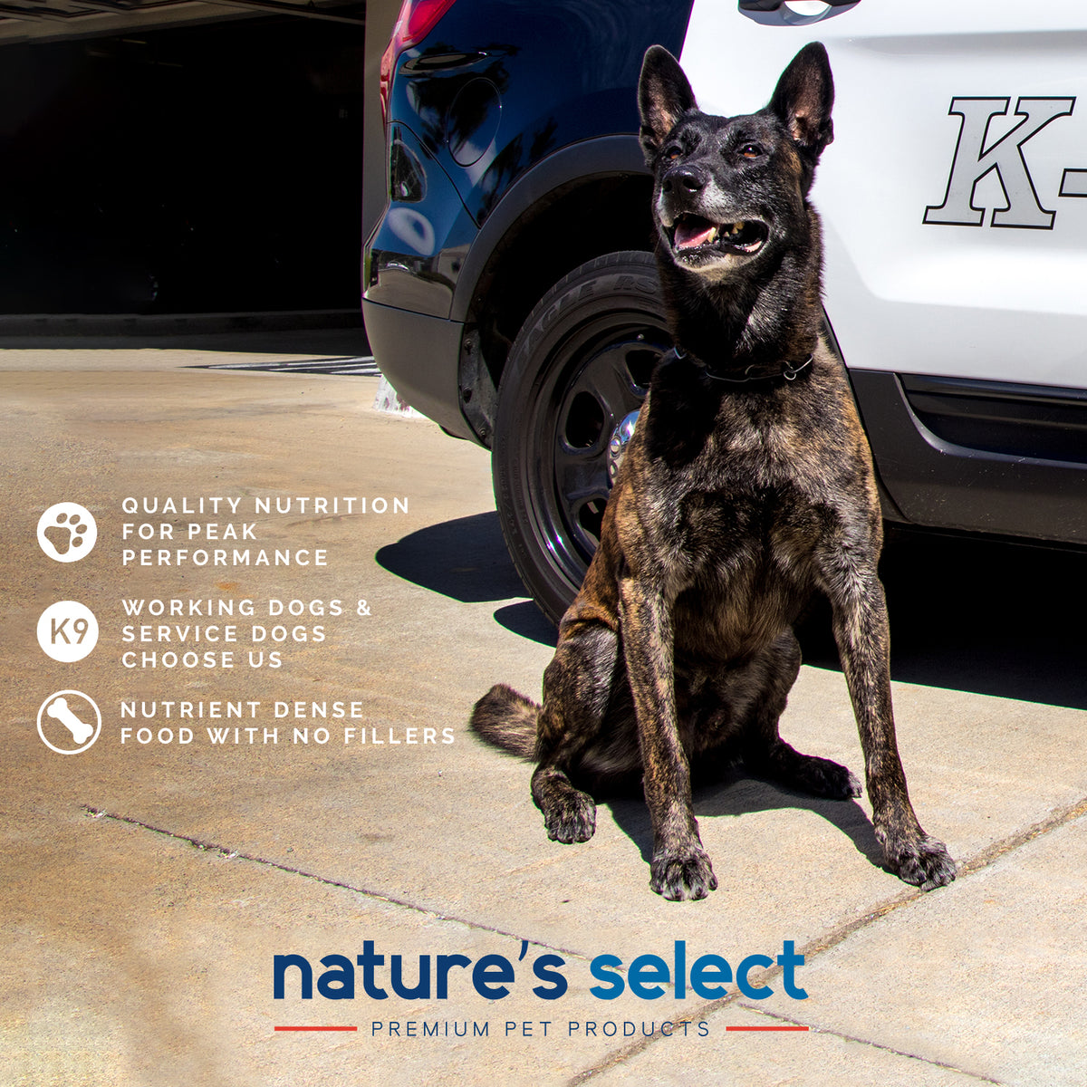 Nature's Select Plus Recipe - Chicken w/Glucosamine, Dry Dog Food for Adults