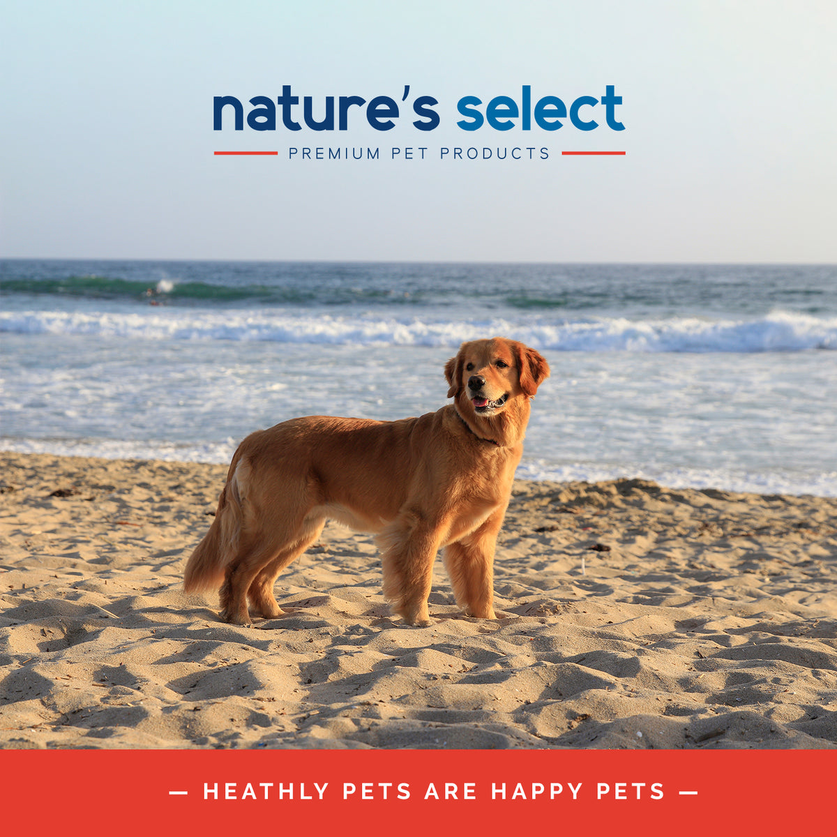 Nature's Select New Zealand Recipe - Lamb & Rice, Dry Dog Food for All Life Stages