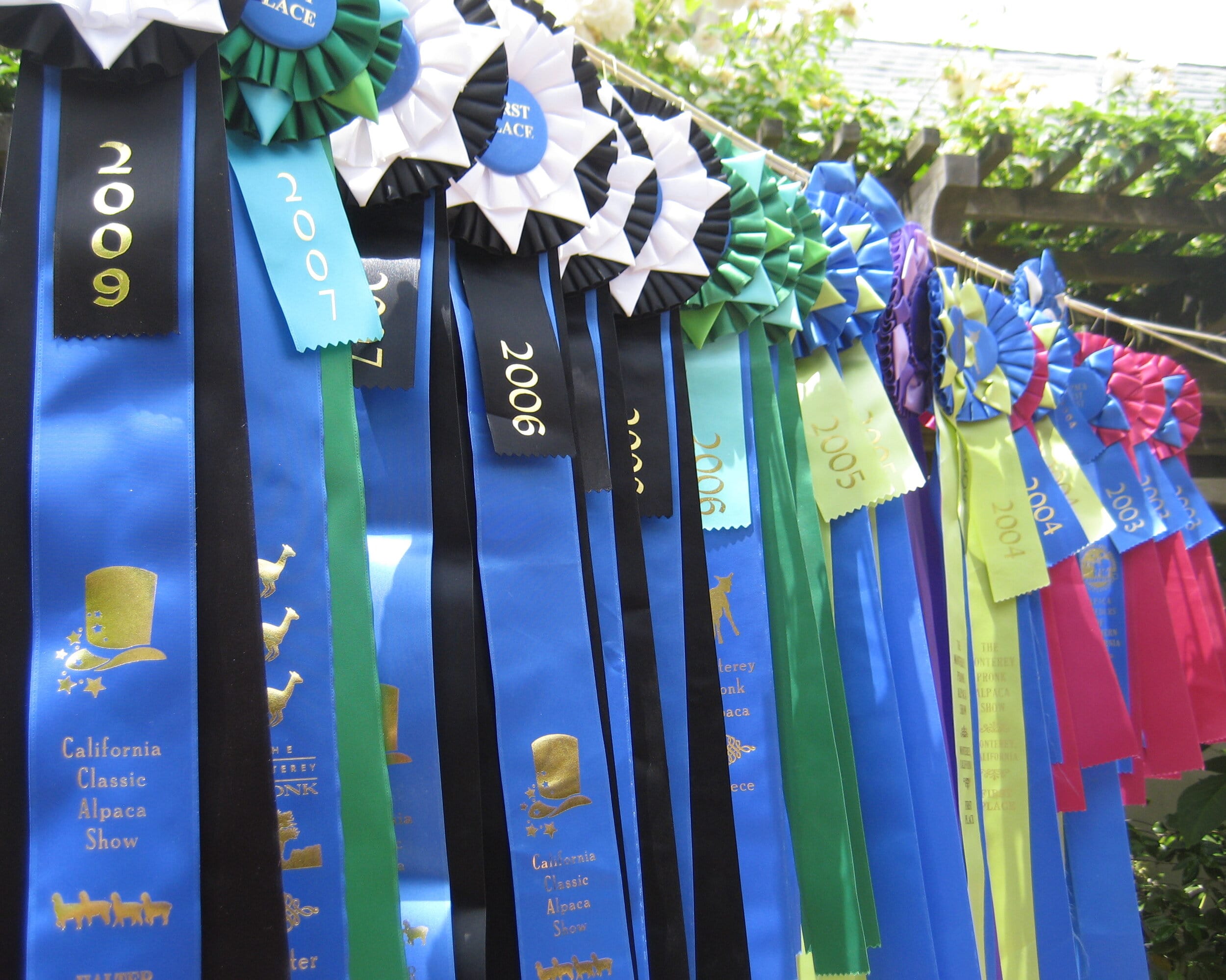 A collection of ribbons and awards for outstanding livestock quality