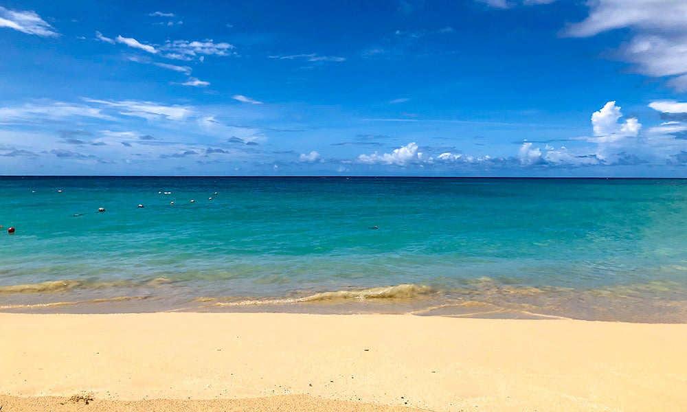 Beautiful Beaches in Barbados | Barbados Travel Guide