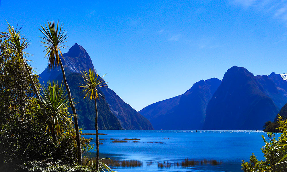 Milford Sound | Where to Visit in New Zealand | Flashpacker Chronicles 