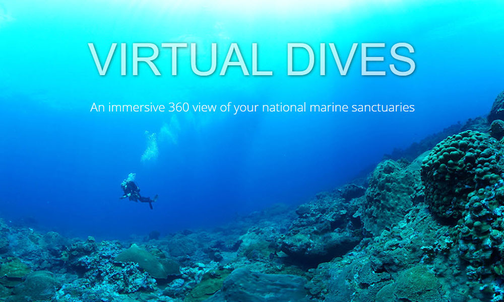 NOAA Virtual Dives | Ways to Explore the World in Quarantine | Flashpacker Chronicles 