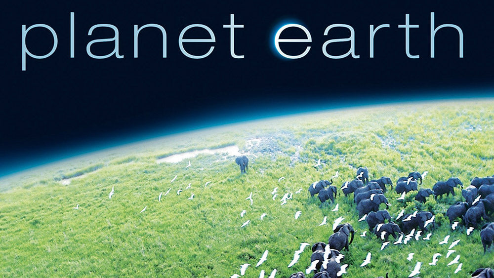 Planet Earth-Amazon Prime Video | Flashpacker Chronicles