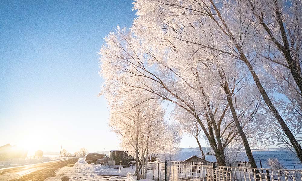 Steamboat Springs Weather