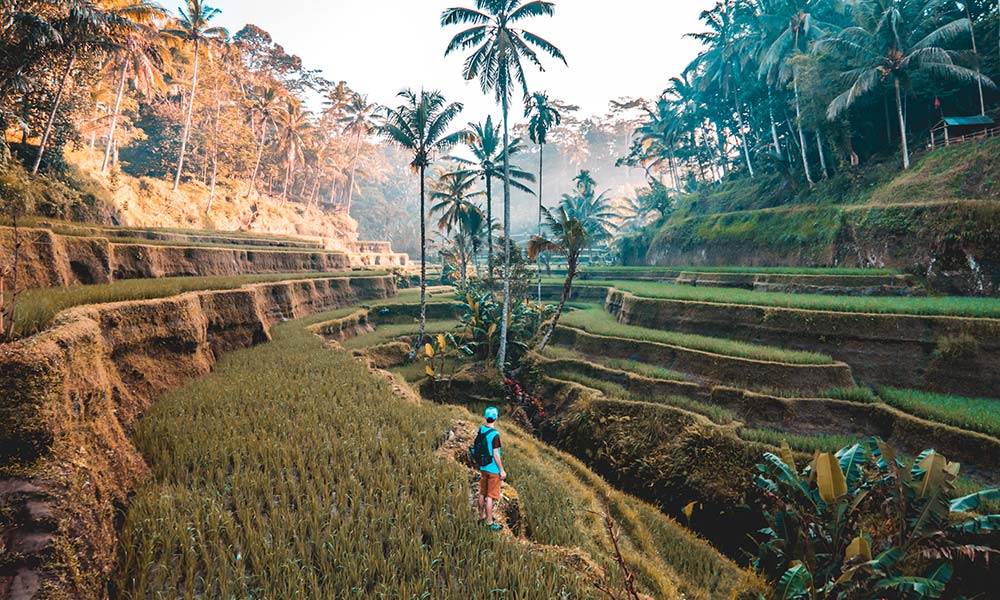 10 Best Places to Travel Solo | Bali Indonesia