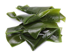 Kelp seaweed for dog and horse natural health herbs