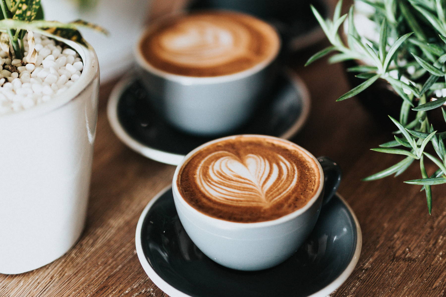 Espresso Machine for Lattes